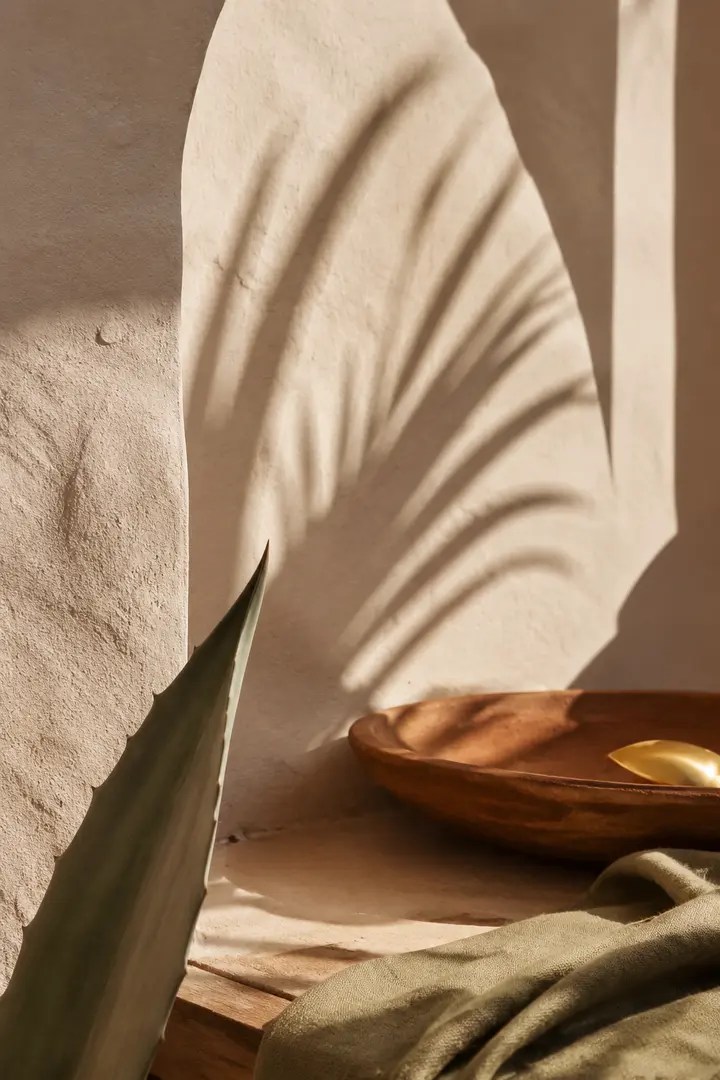 Ombres végétales délicates sur une arche ivoire.